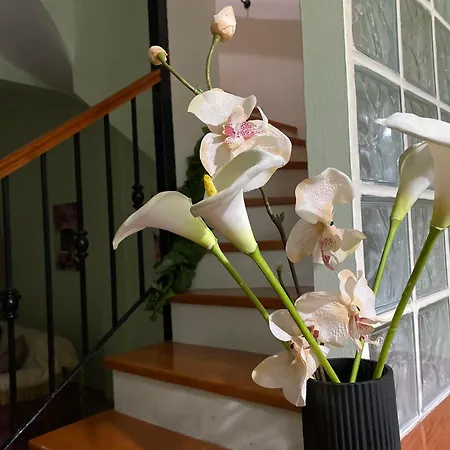 νώε Апартаменты