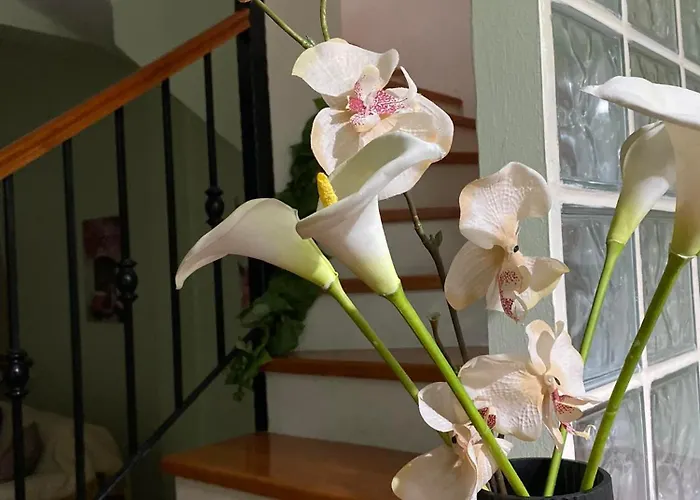 νώε Апартаменты